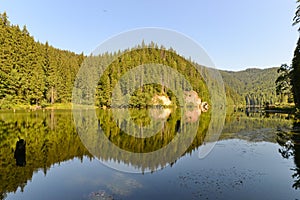 Reflections in the Red lake / Lacul rosu.